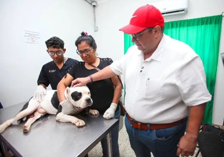 En dos años Veterinaria de Buen Corazón ha brindado más 14 mil atenciones